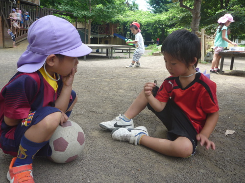 写真