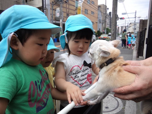 写真