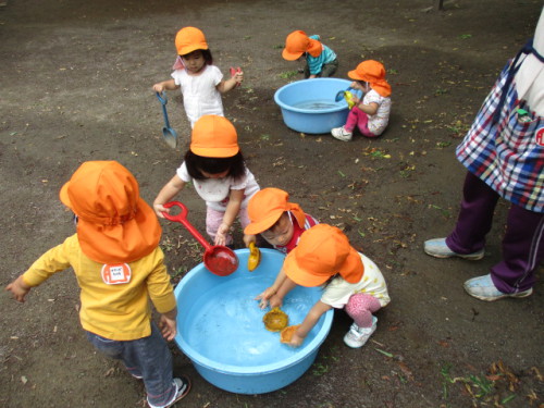 写真