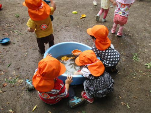写真