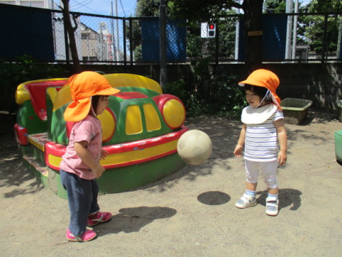 写真