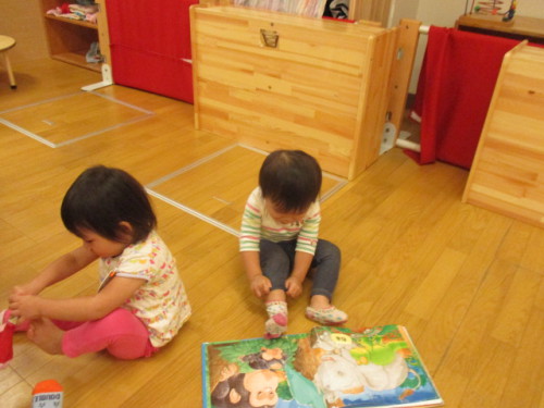 写真