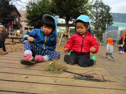 写真