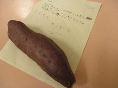 写真