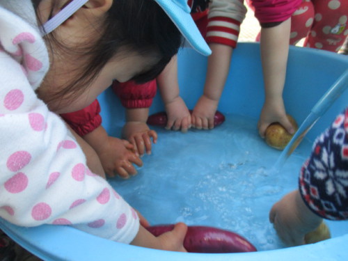 写真