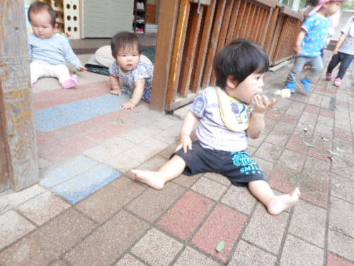 写真