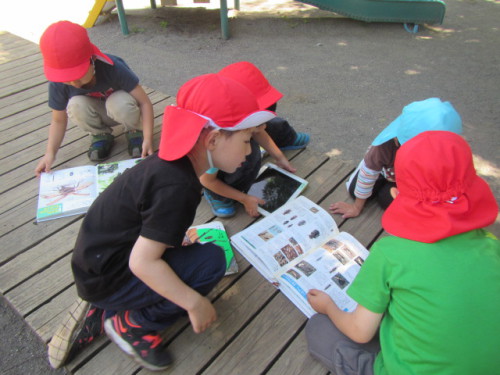写真