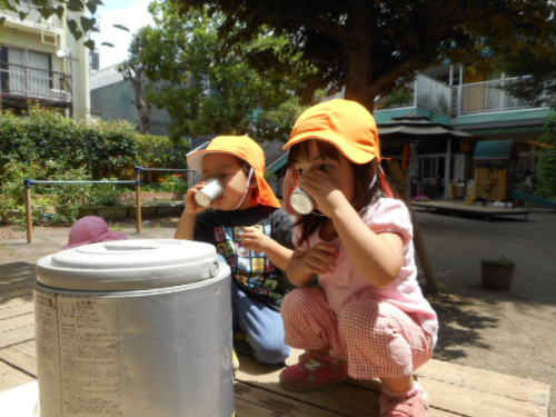 写真