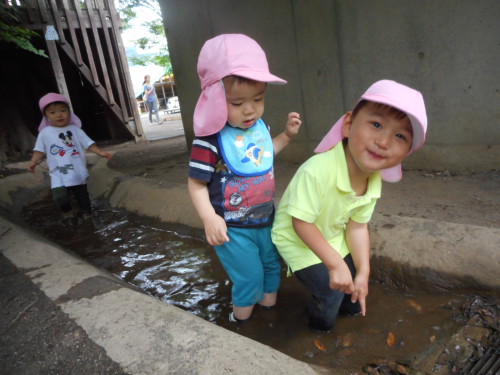 写真