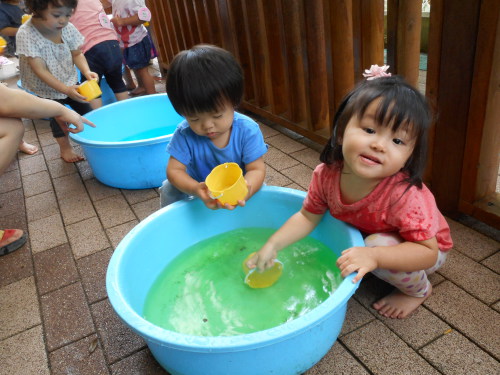 写真