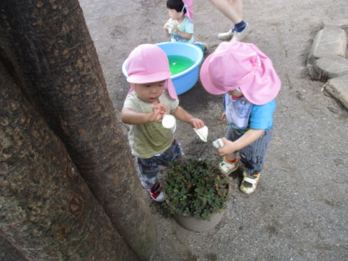 写真