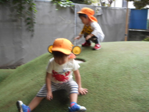 写真