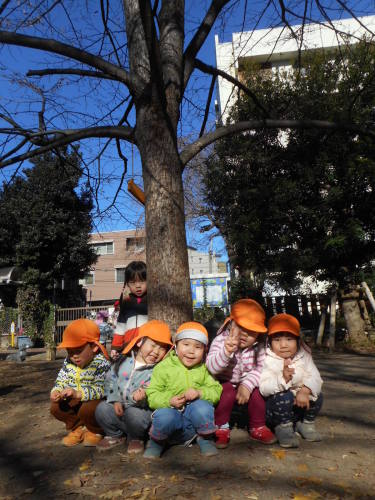 写真