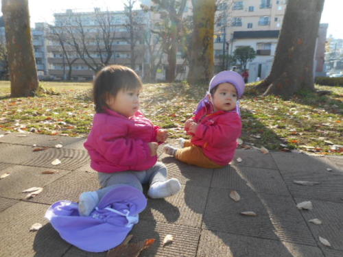写真