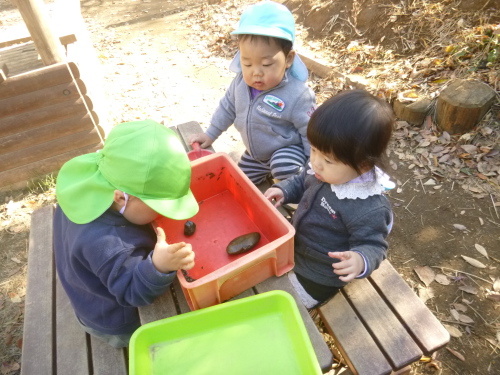 写真